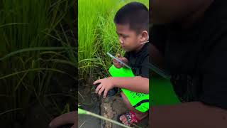 สาธุ ขอให้อยู่รอดปลอดภัยเด้อ#funny#comadin #funnycomedy#comedy #comedyshorts#voiceeffects#stitch#pov