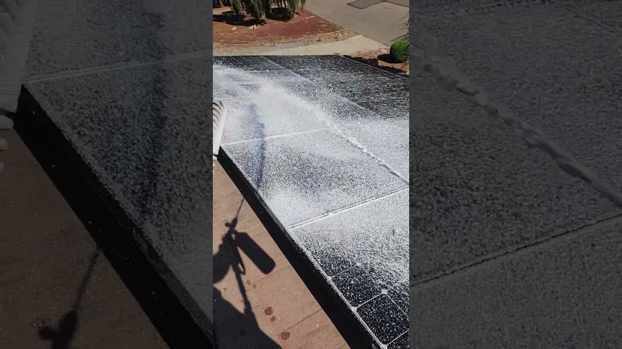 Solar sheen for the Bee pollen 🐝