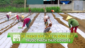 Kế hoạch sản xuất vụ đông 2021 trước thách thức Covid-19  | VTC16