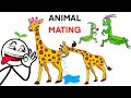 Strangest ways Animals mate 🫢