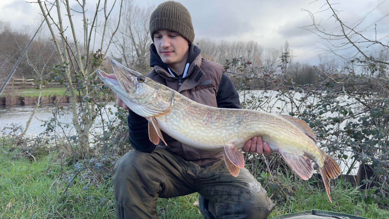 DEADBAITING gravel pit,shaking the pb mark!!!! PIKE
