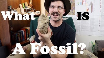 What is a Fossil?
