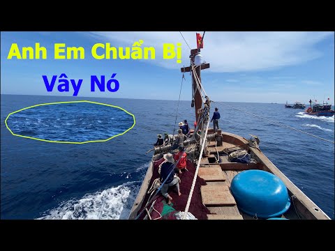 Hành trình tìm cá ngừ gian nan và đánh lưới của vây rút ngày - Dân Biển