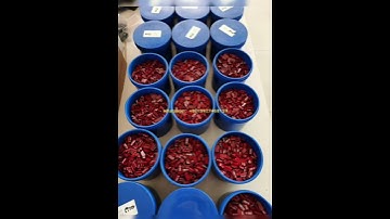 $43 free shipping,Original Car Key Blank Chip JMD King Chip for Handy Baby for 46/48/4C/4D/G Chip