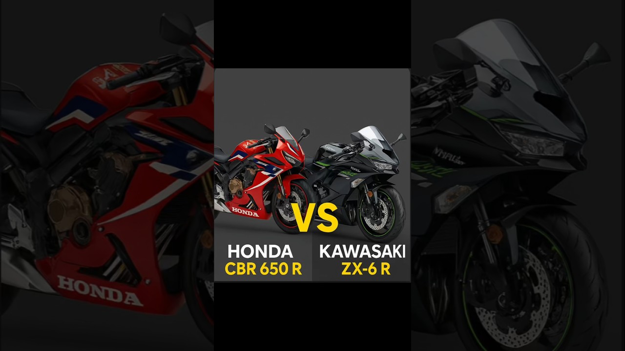 which One is your favourite?