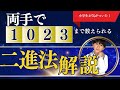 小学生が気がついた！指に倍数を当てはめると、両手で1023まで数えられる理由を説明します。