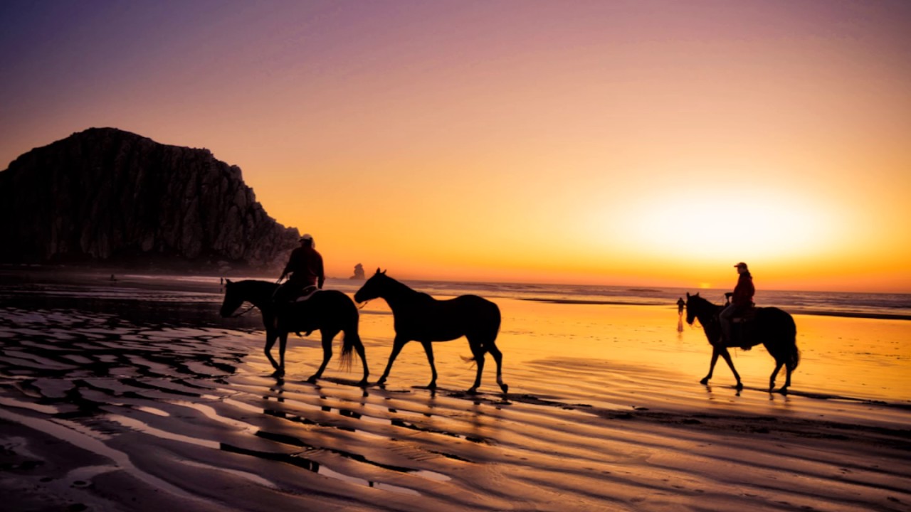 blanket on the ground YouTube