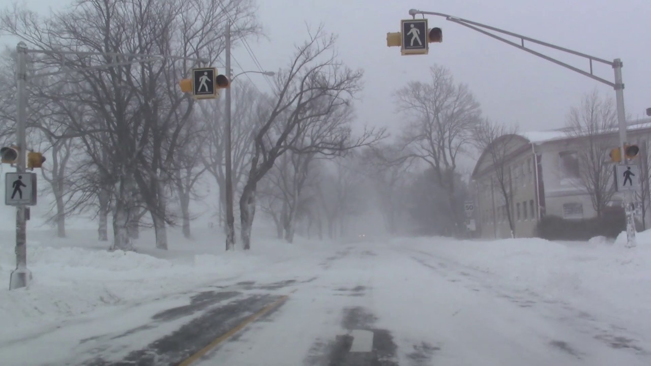 Halifax Blizzard