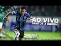 [AO VIVO 360º] Santos x Grêmio (Libertadores da América 2020) l GrêmioTV