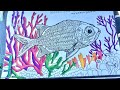 Caribbean Sea Life Coloring Book Unboxing and Flip Through | Reveal | Self Published Amazon KDP