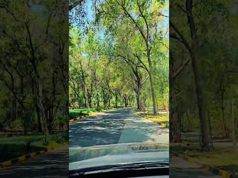 حسين الجسمي تأملت والدنيا فيها العجب والعجب