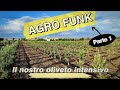 Agro Funk - Il nostro oliveto intensivo #agricoltura #funk