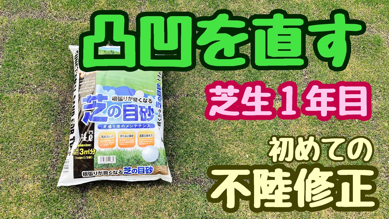 芝生のメンテナンス 目砂を使った芝生tm9の不陸修正をやってみました Youtube