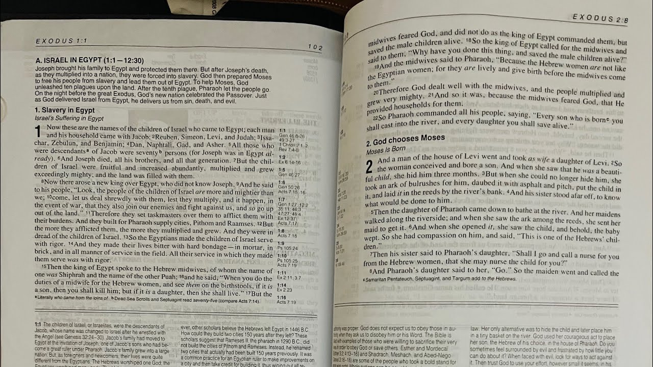 Exodus 13 Bible Study Nuggets of Wisdom and Revelation - YouTube