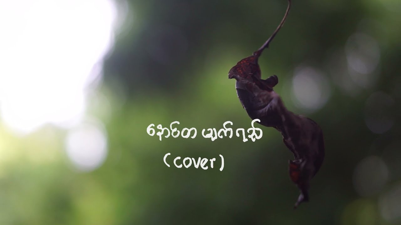 နောင်တမျက်ရည် (COVER)