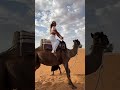 Gran camello en el DESIERTO DEL SAHARA 🐫