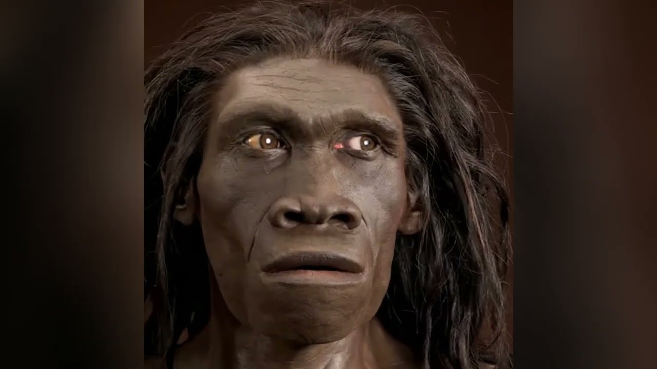 HOMO ERECTUS – Pierwszy człowiek drogi i ognia