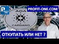 Ada Cardano полный обзор | Прогноз Кардано 2021