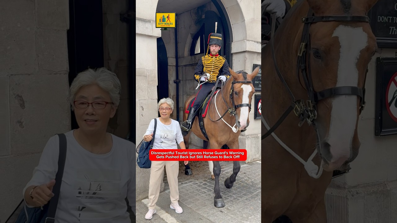 Disrespectful Tourist Ignores Horse Guard's Warning Gets Pushed Back but Still Refuses to Back Off!