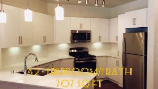 A2 - 707 Sq Ft 1 Bedroom/Bath