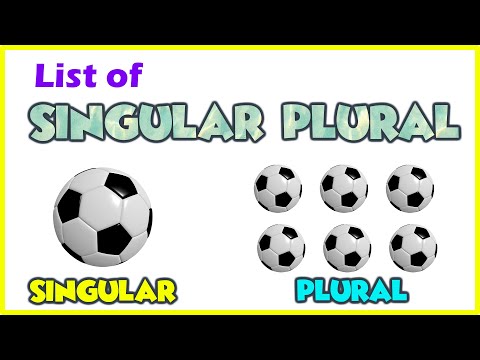 50 Common Singular and Plural Nouns | 50 Most Common Singular & Plural Nouns