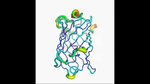 EGFP B-factor movie.