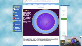 Mitosis Virtual Lab