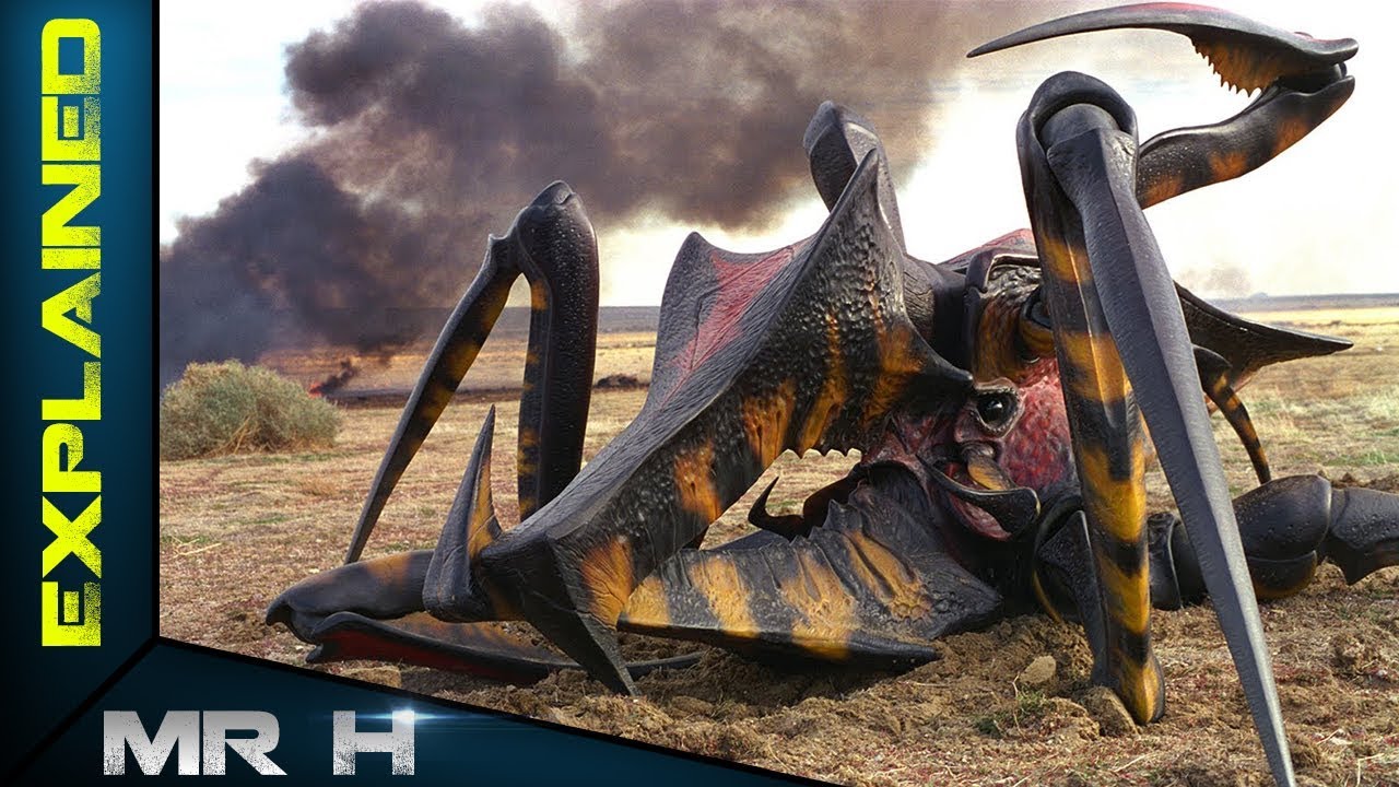 Warrior Bug Explained Starship Troopers YouTube Warrior Bug Explained Starship Troopers YouTube