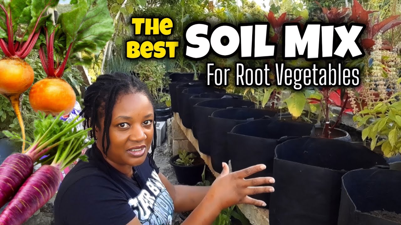 The BEST SOIL MIX For ALL Root Vegetables! DIY SOIL mix you CANNOT FIND  In Stores