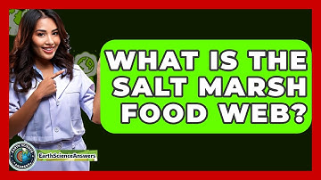 What Is The Salt Marsh Food Web? - Earth Science Answers