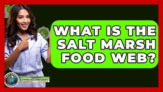 What Is The Salt Marsh Food Web? - Earth Science Answers