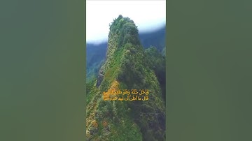 سورة الكهف اية 35 - بصوت جميل - وَدَخَلَ جَنَّتَهُ وَهُوَ ظَالِمٌ