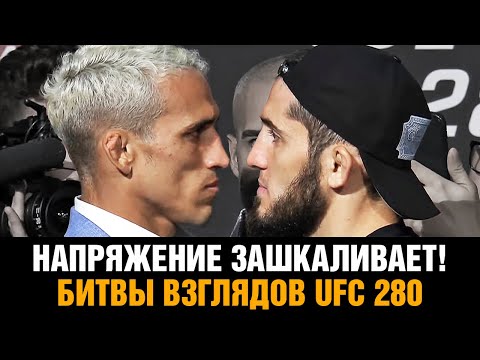 Битвы взглядов UFC 280 Махачев - Оливейра  Ян - ОМэлли  Стерлинг - Диллашоу