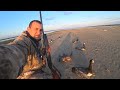 ОХОТА НА ГУСЯ / добыл 22 гуся за три часа / GOOSE HUNTING