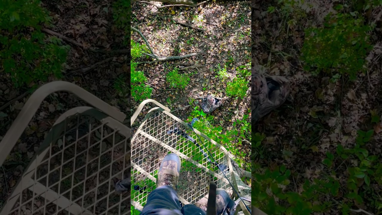 Top-tier RUT location! 