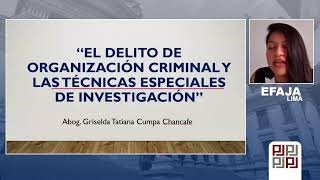 Conferencia: EL DELITO DE ORGANIZACIÓN CRIMINAL Y LAS TÉCNICAS ESPECIALES DE INVESTIGACIÓN