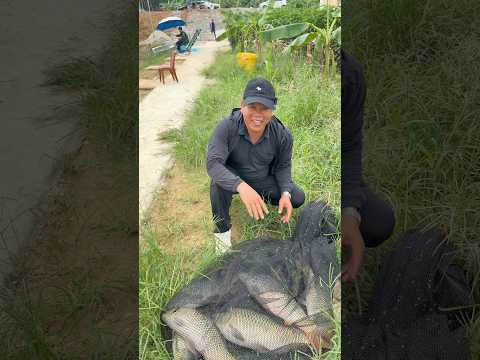 Nắng miền núi câu cá vất vả quá #chungnguyenfishing #shorts #cauca