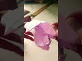 Butterfly 🦋 theme