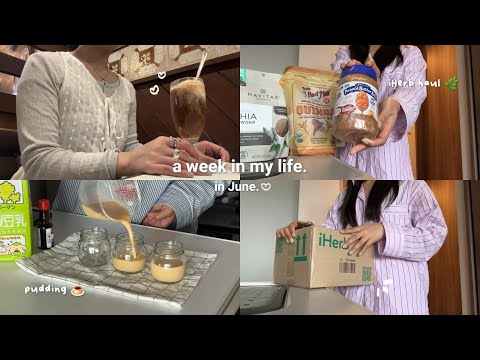 vlog | 3年目ﾌﾘｰﾗﾝｽ夏の1週間🍉 | iHerb購入品🌿 | ジャーナリング📝 |ひとり映画🍿 | 苦手なお菓子作り🍮