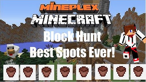 Mineplex: Block Hunt Best Hiding Spots!