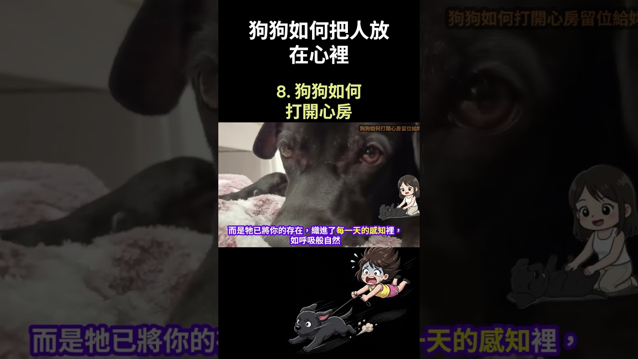 狗狗如何把人放在心裡 8 狗狗如何 打開心房 縮圖