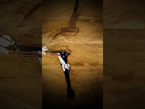 Trapped 400 Feet Underground… The Story of John Edward Jones 🕳️💔
