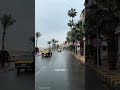 تحت مطر إسكندرية ماريا وترابها زعفران تحت مطر إسكندرية ماريا وترابها زعفران