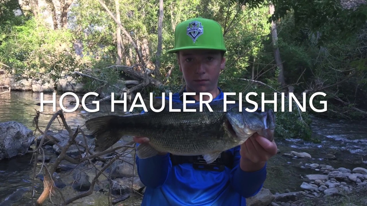 Urban Bass Fishing in San Jose: Big Bass in a Small Creek!