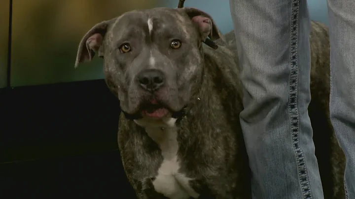Furry Friday: Meet Riddick
