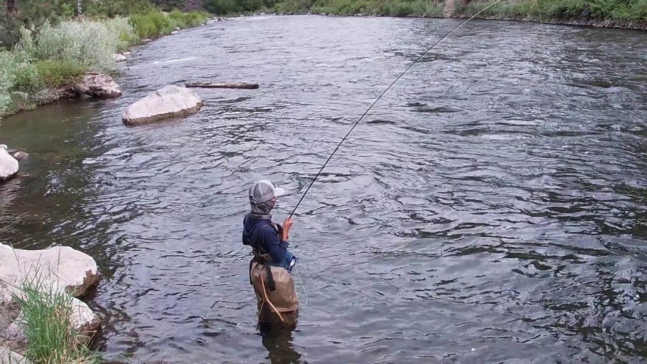 South Fork Boise Caddis Dry Fly Fishing YouTube