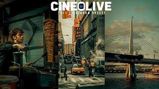 CineOlive Lightroom Mobile preset | Free DNG | Moody Harvest | Lightroom Preset screenshot 3