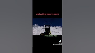 wiping zerg clans in roams