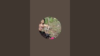 sindhuuworld is live!