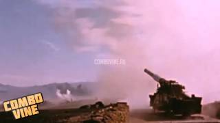 Combo Vine 641